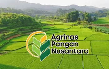 Koperasi Merah Putih Disorot, Penugasan Agrinas Dinilai Berisiko