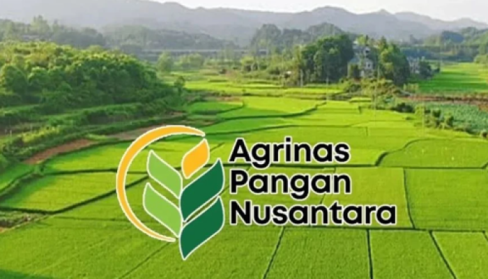 Koperasi Merah Putih Disorot, Penugasan Agrinas Dinilai Berisiko