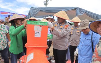 Panen Jagung 2 Ton di Kampar, Sinergi Polisi dan Warga Dorong Swasembada Pangan