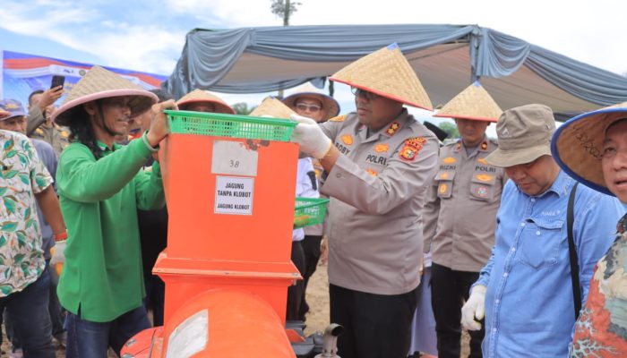 Panen Jagung 2 Ton di Kampar, Sinergi Polisi dan Warga Dorong Swasembada Pangan