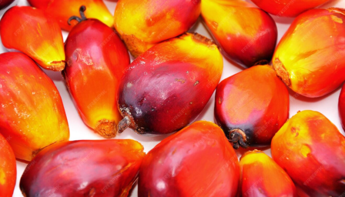 Riau Bidik Jadi Pusat Agroindustri Nasional, Integrasi Sapi-Sawit Jadi Strategi Utama