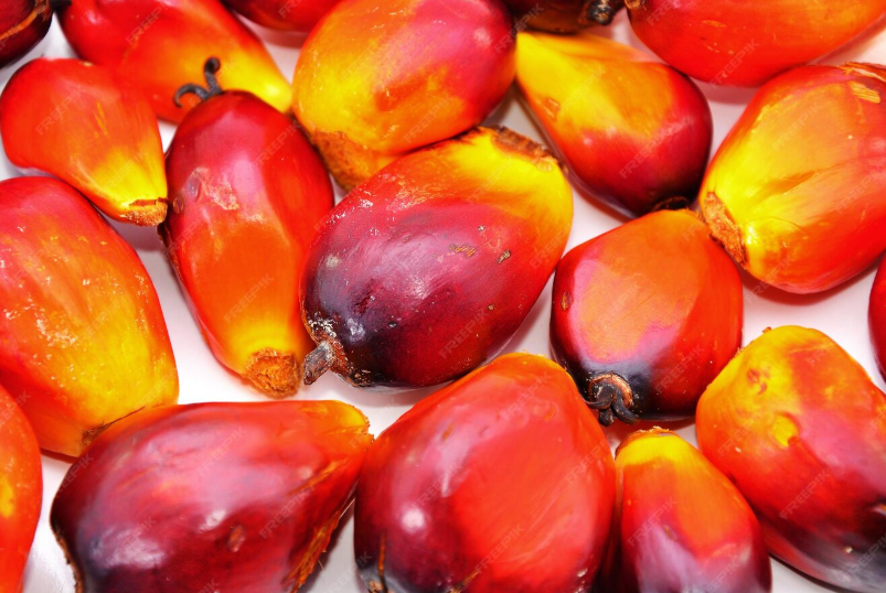 Riau Bidik Jadi Pusat Agroindustri Nasional, Integrasi Sapi-Sawit Jadi Strategi Utama