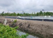 Tambak Udang Ilegal di Bengkalis Disorot, Aktivis Ungkap Ancaman Serius bagi Lingkungan dan Nelayan