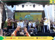 Bupati Kaur Launceng Festival Gurita Tahun 2026