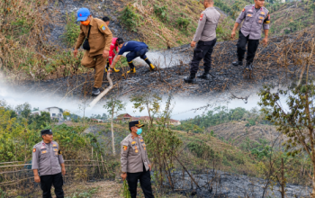 Polres Kaur Gerak Cepat Padamkan Kebakaran Lahan di Padang Petron, Api Berhasil Dijinakkan 25 Menit