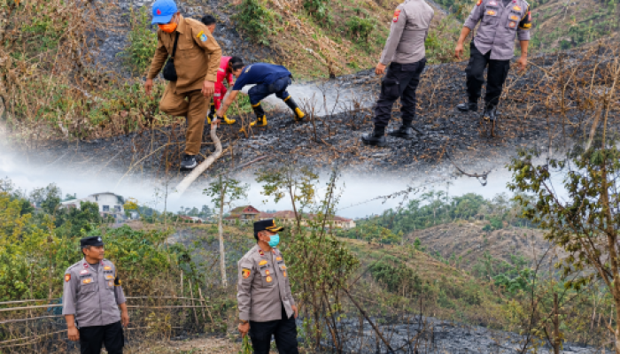 Polres Kaur Gerak Cepat Padamkan Kebakaran Lahan di Padang Petron, Api Berhasil Dijinakkan 25 Menit